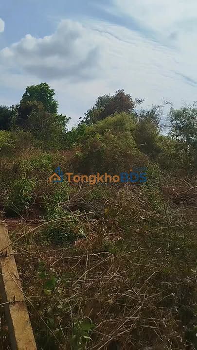 Đất nền 180m² Buôn Hồ, Đắk Lắk - Giá 2.1 tỷ, Đường xe tải, Sẵn sổ