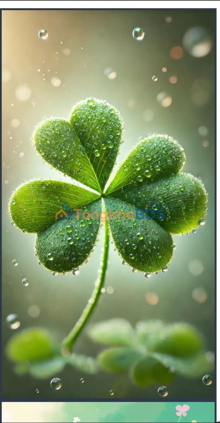 Mặt tiền Nguyễn Chí Thanh, Thuận An - Nhà có sẵn cho thuê, thu nhập ổn định