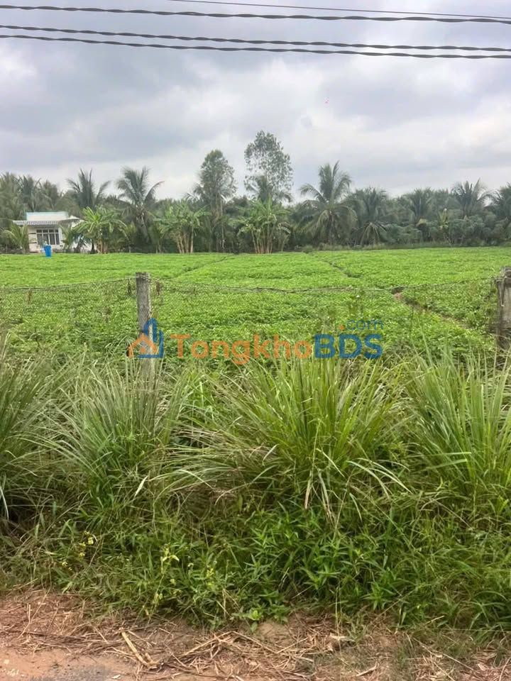 Bán Đất Mặt Tiền Lộ Nhựa 2080m² Huyện Bình Đại, Bến Tre - Giá 3.2 Tỷ