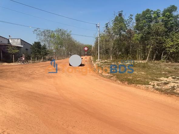 Đất Lô Góc Phường An Lợi Đông, TP. Thủ Đức - 100m² Sổ Hồng Riêng, Giá 420 Triệu