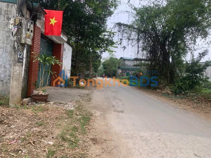 Đất Mặt Tiền 210m² Tổ 8 Viên Châu - Kinh Doanh Sầm Uất, Giá 1.65 Tỷ