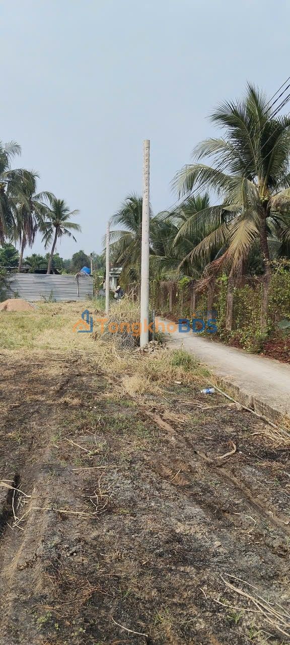 Bán đất thổ cư Cần Đước 84m² - Sổ hồng sẵn, giá 550 triệu