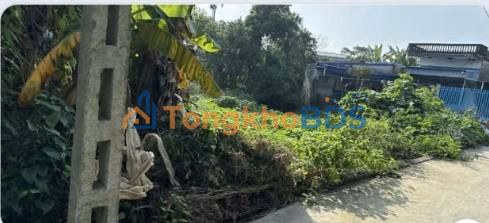 Bán đất nền 353m² chính chủ tại Mỹ Hào, Hưng Yên - Giá 1.2 tỷ