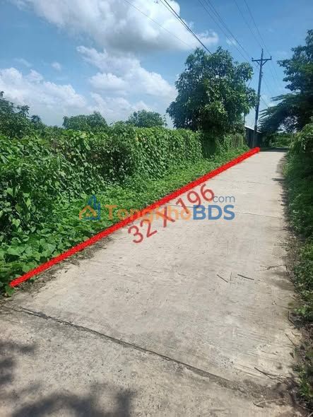 Bán Đất Vườn Xoài Cát Hòa Lộc 5.9ha An Giang - 3.15 Tỷ