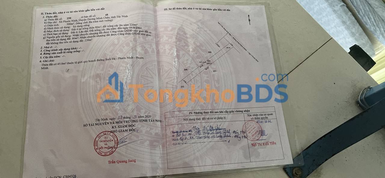 Đất Phước Ninh, Tây Ninh - 300m² Mặt Tiền Đường Nhựa Lớn, Giá 720 Triệu