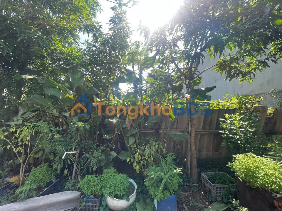 Bán Đất Vàng 100m² Đường XT5, Lào Cai - Giá Rẻ Hơn Thị Trường!