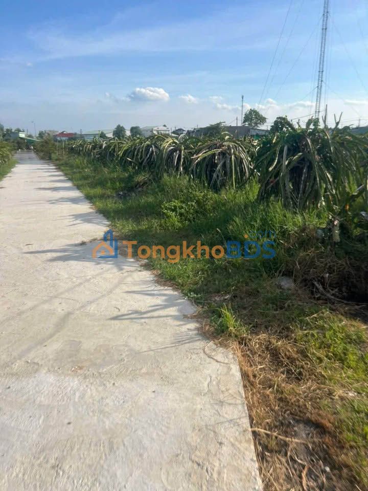 Bán Đất Nền La Gi 6120m² - Mặt Tiền Rộng 50m, Quy Hoạch Thổ Cư