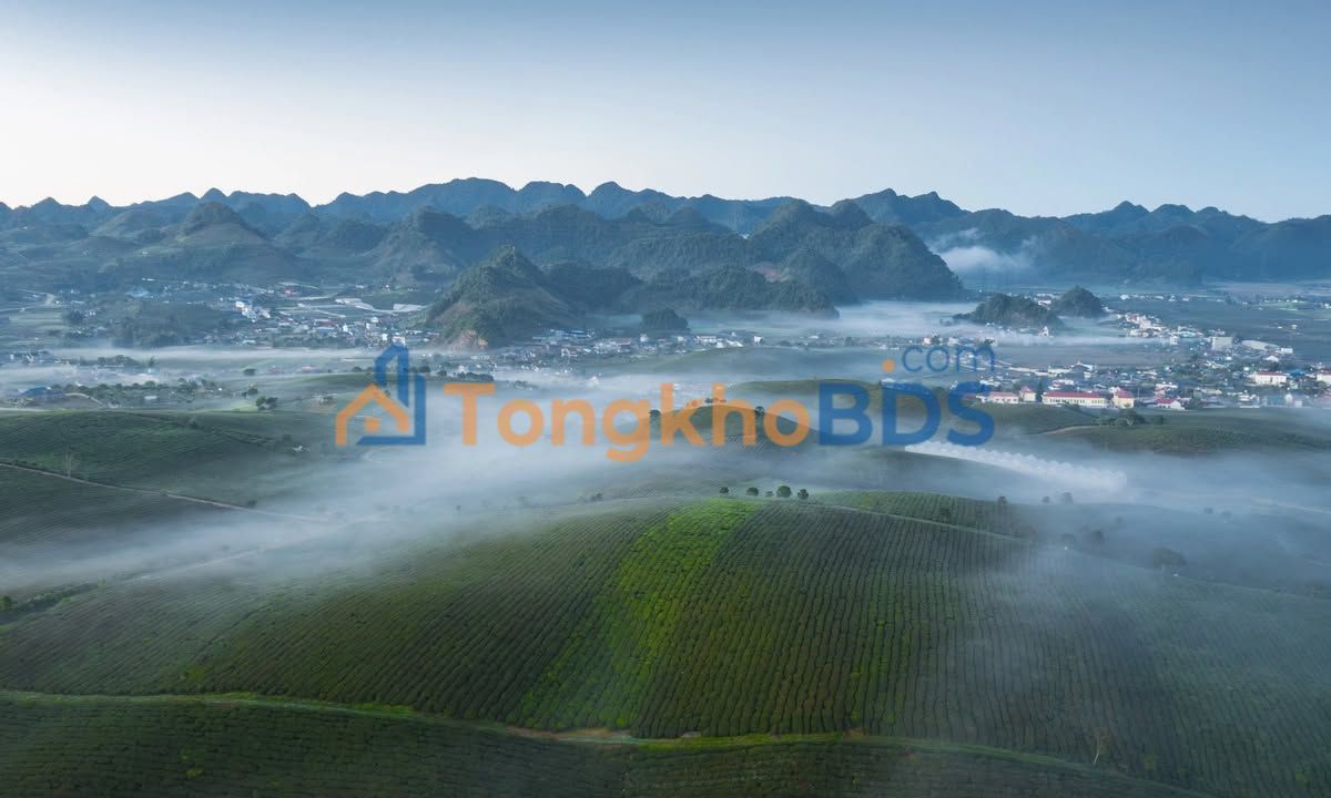 Đất nền Vân Hồ 125m² - View Đồi Chè, Mặt Tiền 18m - Sẵn Sàng Đầu Tư