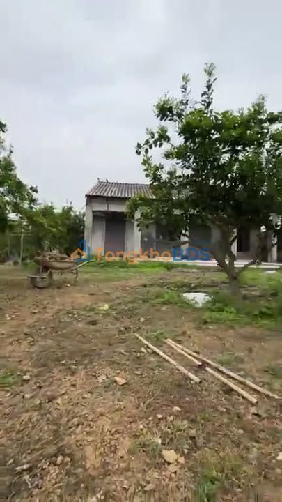 Bán Đất Vườn 3600m² Lục Ngạn - Hơn 1 Tỷ, Sẵn Nhà Vườn & Cây Ăn Quả