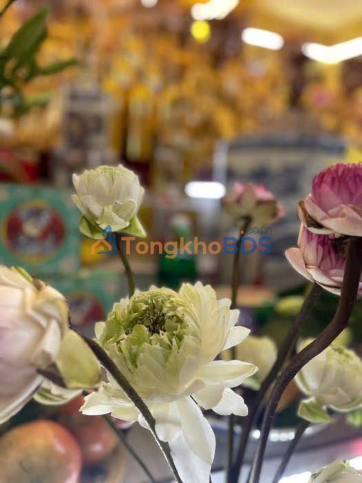 Đất nền Xã Danh Thắng, Hiệp Hòa, Bắc Giang - 266m² - Giá 2 tỷ - Tiềm năng kinh doanh