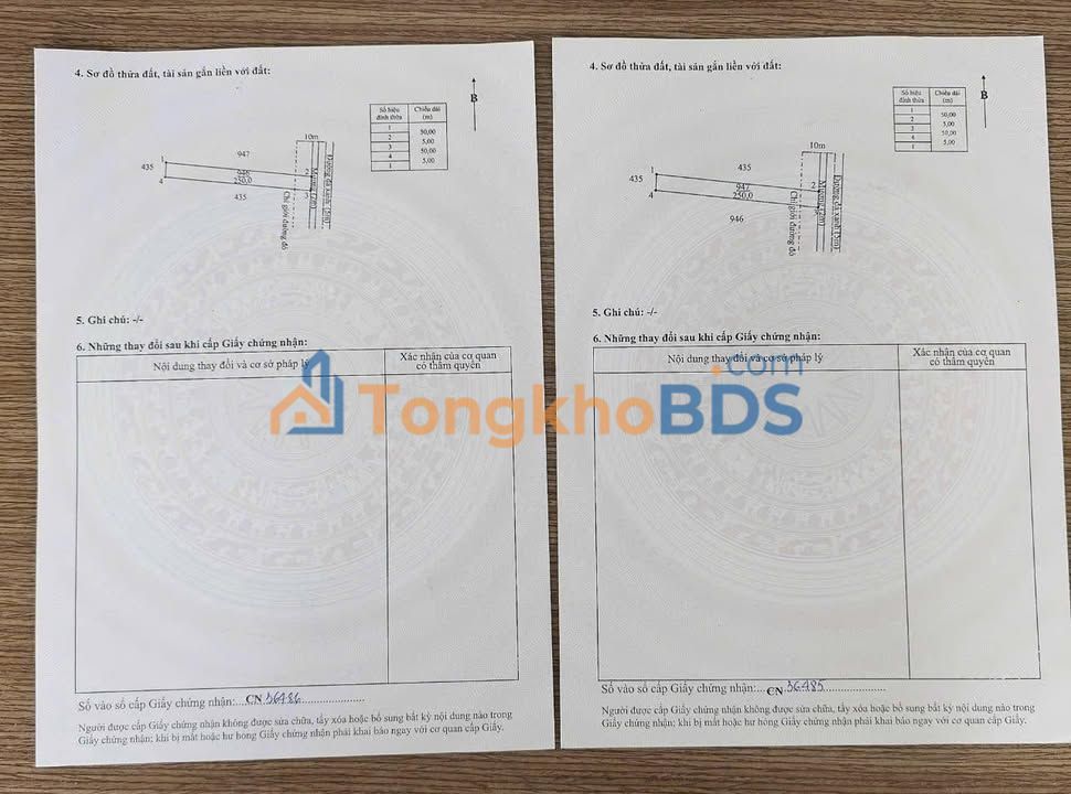 Đất nền Đức Lập Long An - 1000m² Full Thổ Cư, Giá 2.2 Tỷ