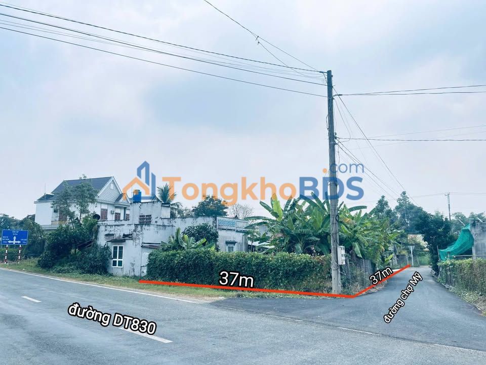 Đất 1223m² 2 Mặt Tiền Kinh Doanh Cần Đước, Long An - Giá Tốt