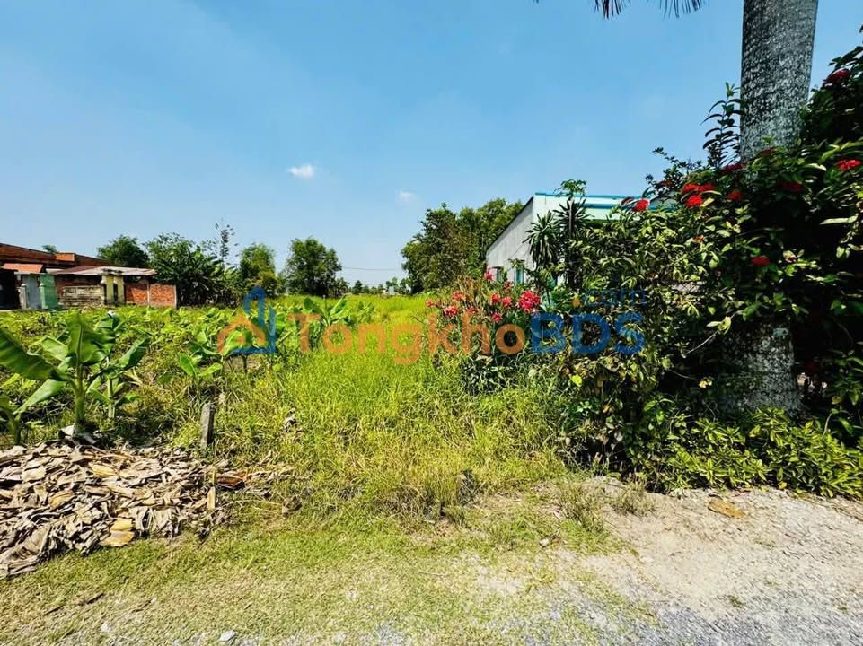 Đất Nền Đức Hòa 150m² (5x30m) - Sổ Hồng Sẵn Sàng, Giá 1.2 Tỷ