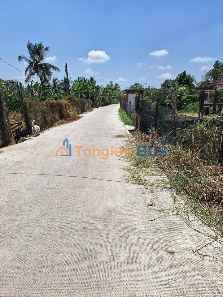 Đất Vườn Long An - 228m² Sổ Đỏ Sẵn Sàng, Giá Chỉ 600 Triệu