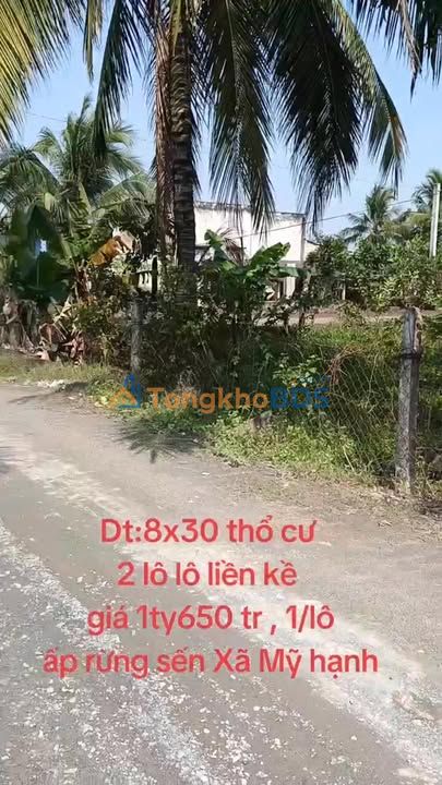 Bán gấp 4 lô đất thổ cư 100% SHR - Mỹ Hạnh Bắc, Đức Hòa - Giá từ 850 triệu