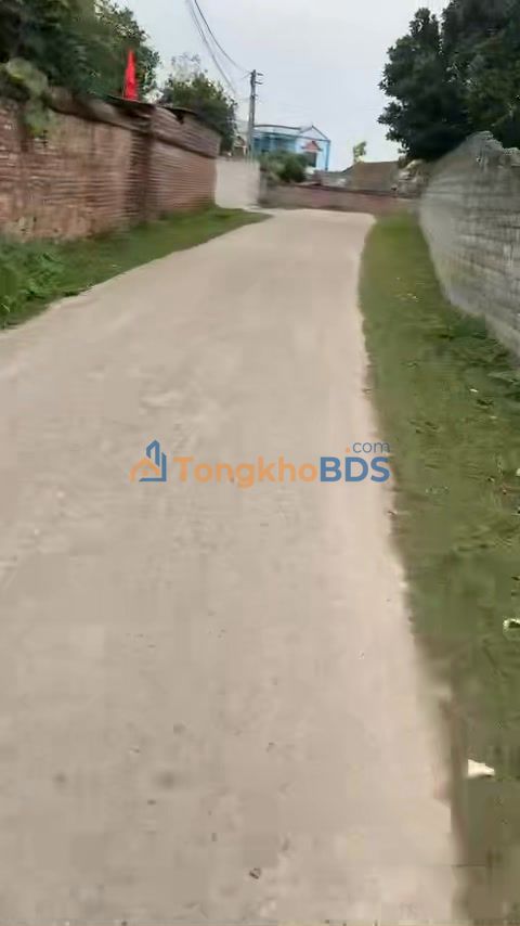 Bắc Giang: Đất nền 100m² Hiệp Hòa, sổ đỏ sẵn sàng - Đầu tư sinh lời!