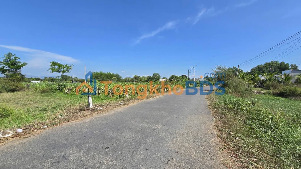 Bán Đất Vàng 2610m² Mặt Tiền Nguyễn Văn Trỗi, Hàm Thuận Bắc - Sổ Thổ Cư