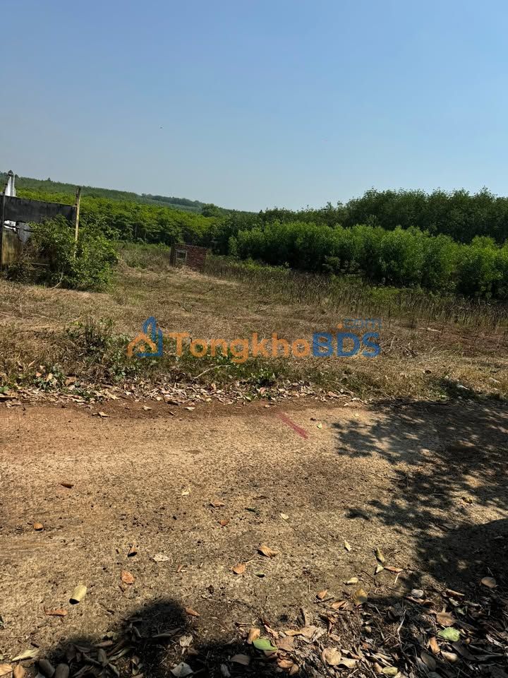 Đất Nền Sổ Đỏ 703m² Tại Cao Lãnh, Đồng Tháp - Giá Chỉ 185 Triệu