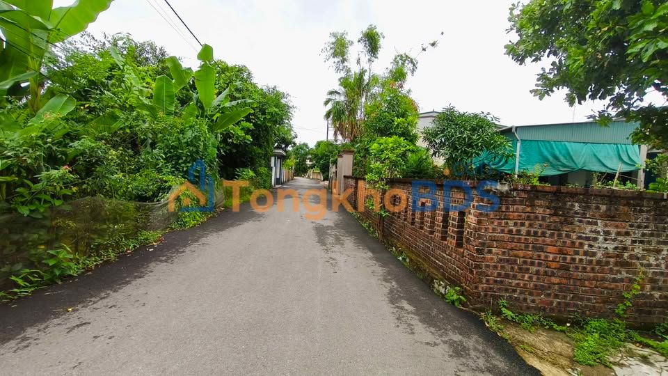 Bán Đất Vàng Tổ 8 Đại Nài 135m² - Lộ Giới 5.5m, Gần Sông