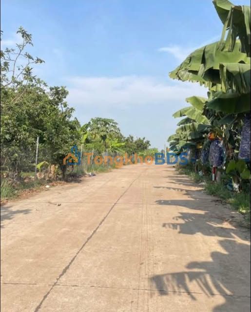 Bán Đất Vàng 4600m² Mặt Tiền Đường Lớn, Gia Kiệm, Đồng Nai - Giá 1.99 Tỷ