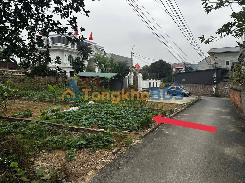 Đất Vàng 114m² Việt Trì - Sổ Đỏ Sẵn, Giá 1.x Tỷ, Ô Tô Tránh Nhau