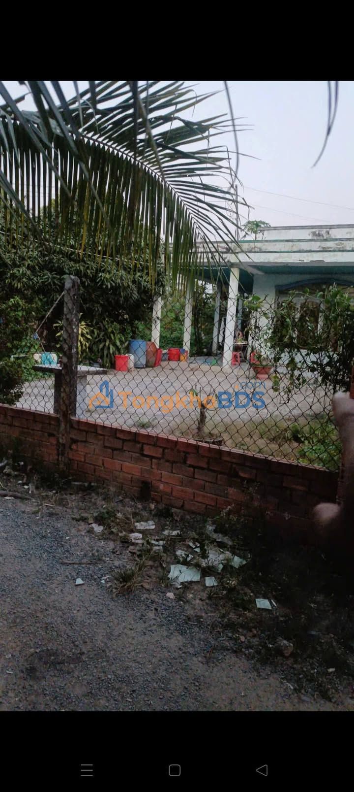 Nhà Mặt Tiền TL 823 Đức Hòa 312m² (Nở Hậu) - Sổ Hồng Riêng, Giá Ngộp 2.5 Tỷ