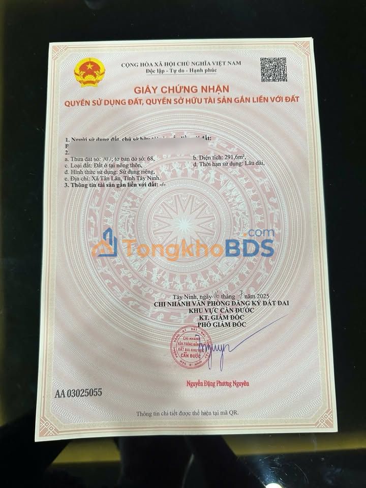 Đất thổ cư 290m² mặt tiền đường 5m - Cần Đước, Long An - Giá 1.4 tỷ