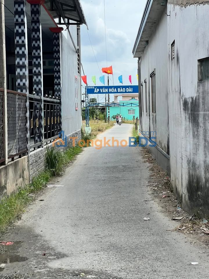 Đất Nền 250m² Sổ Hồng Sẵn Đường Đan Châu Thành, Long An - Giá 720 Triệu