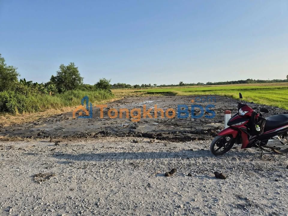 Đất Nền 125m² Mặt Tiền 9m - Sổ Hồng Thổ Cư, Giá Đầu Tư 770 Triệu