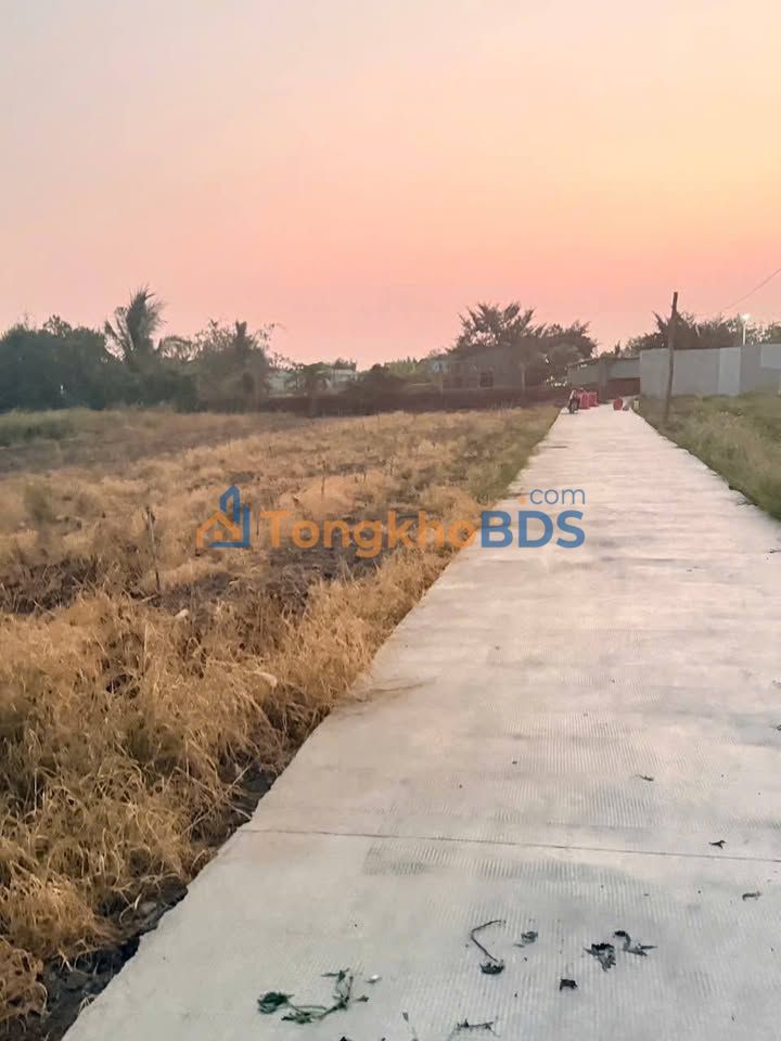 Đất Nền Sổ Hồng Riêng 750 Triệu/Nền - Cần Đước, Long An