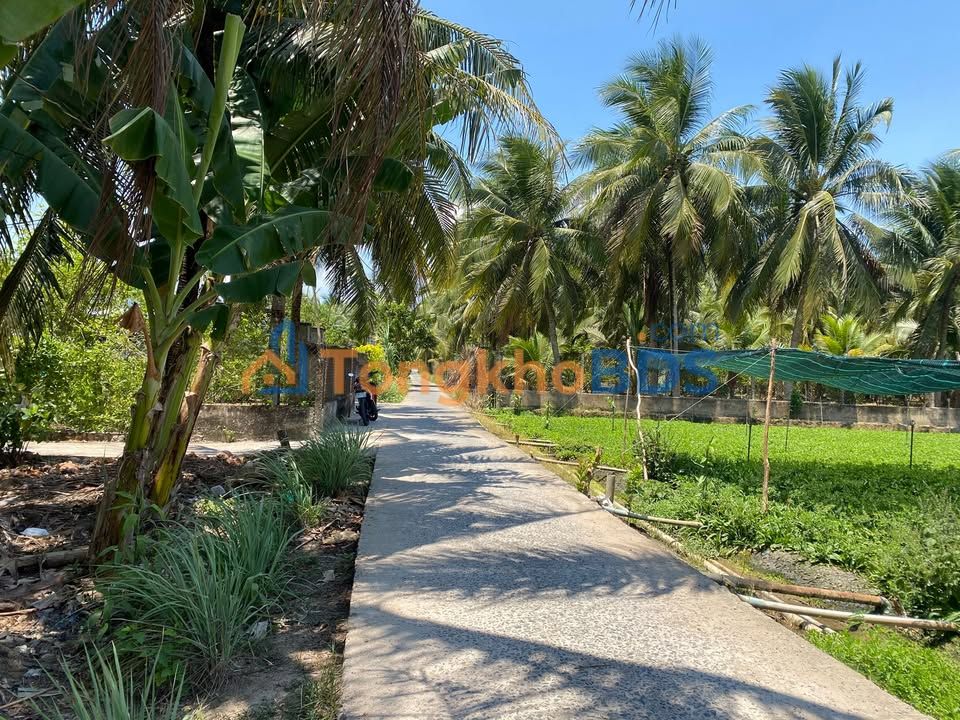 Đất Vườn Đồng Tháp - Sổ Hồng Sẵn Sàng, Giá Đầu Tư Chỉ Từ 1.15 Tỷ