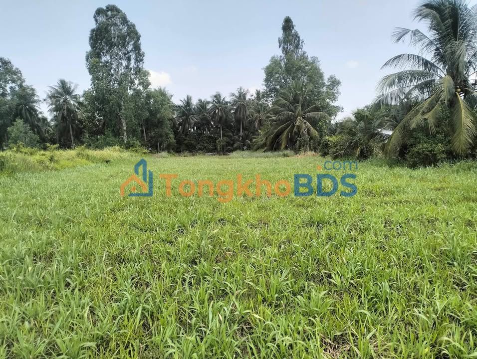 Bán Đất Lúa 799m² Sổ Hồng Tại Phường Long Hoa, TX. Hòa Thành, Tây Ninh - Giá 800 Triệu