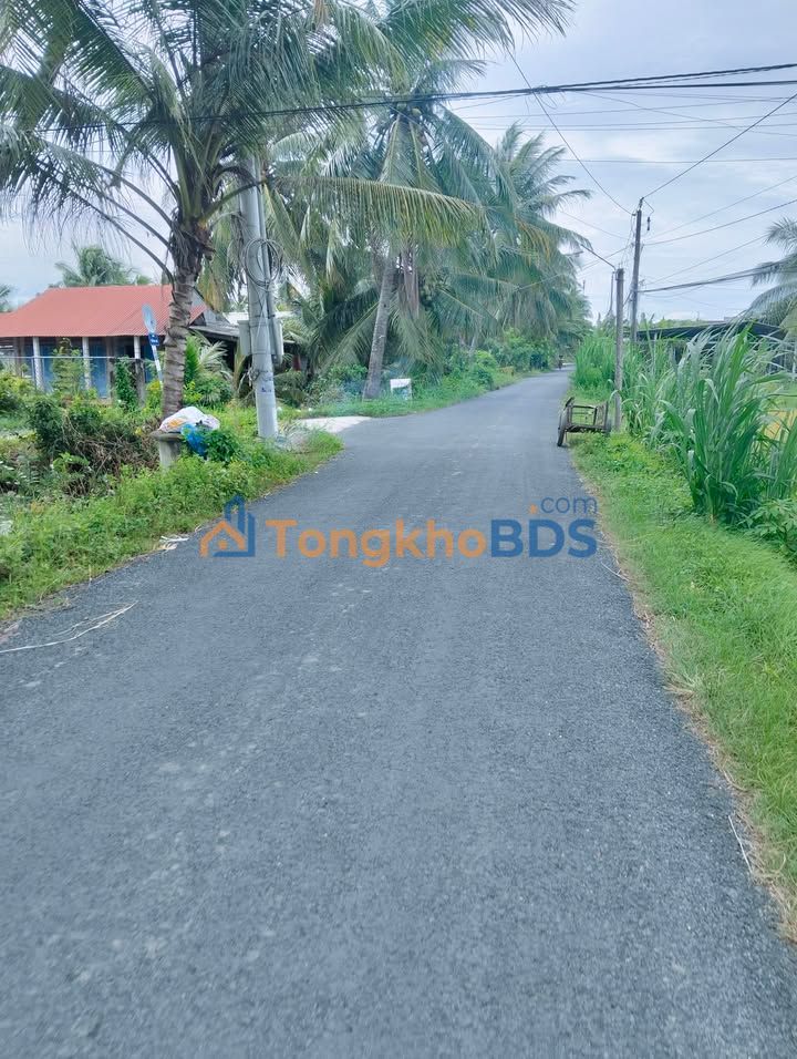 Đất Vĩnh Bình Đồng Tháp 4300m² Giá Tốt - Sổ Sẵn Sẵn Sàng Giao Dịch