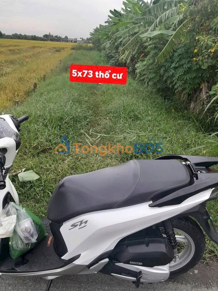 Bán đất mặt tiền Tỉnh 833B, Long An - 365m² thổ cư, giá 1.9 tỷ