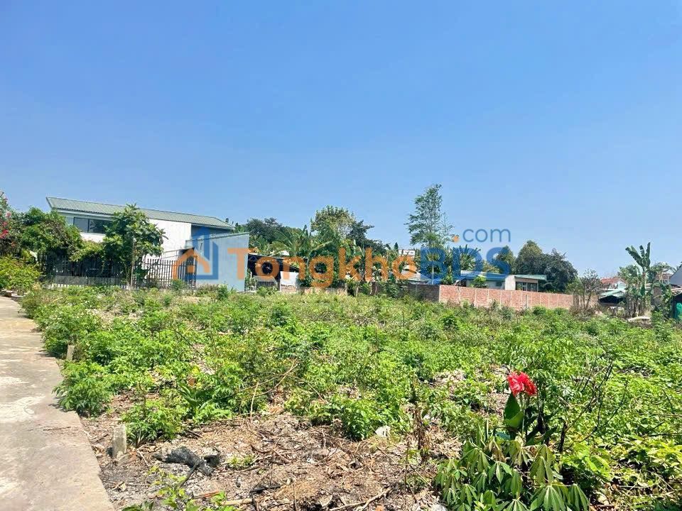 Bán Đất Vườn Hòa Phú Đà Nẵng 219m² - Sổ Đỏ Vuông Vức, Giá Đầu Tư