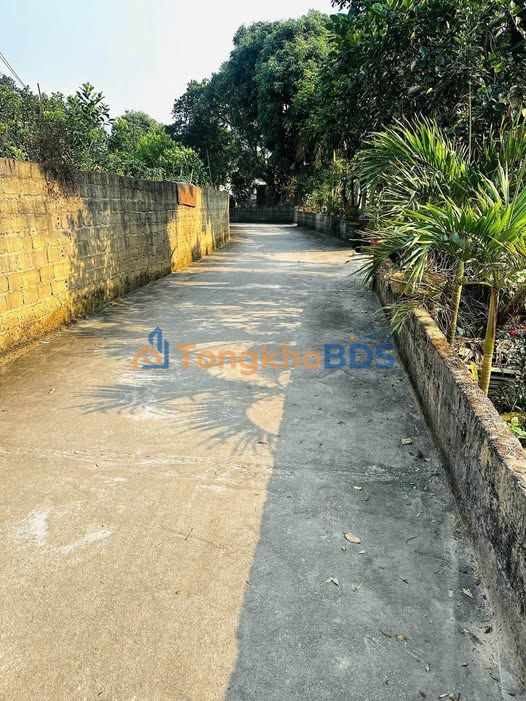 Đất Vị Xuyên, Hà Giang - 390m² Đường Bê Tông, Giá 650 Triệu - Đầu Tư Sinh Lời