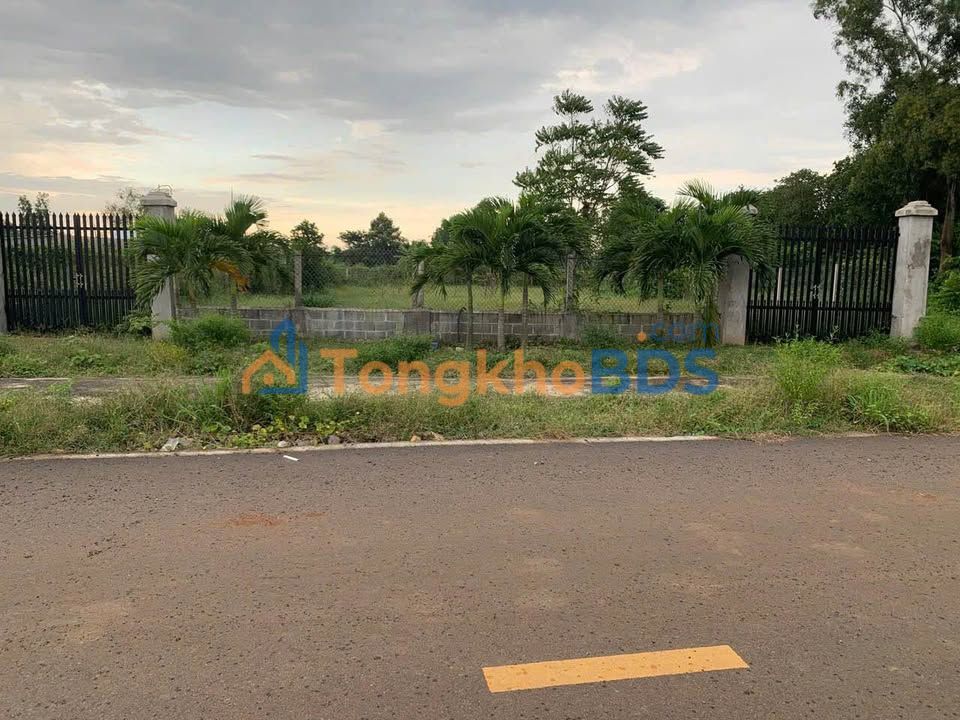 Đất nền Đoàn Trung Đất Đỏ 1.000m² 4,8 tỷ - Chính chủ bán