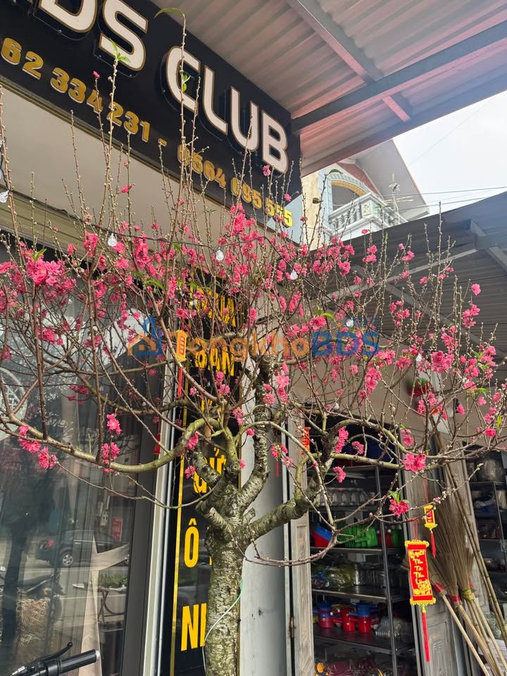 Đất nền Quế Võ, Bắc Ninh - 500m² thổ cư, đường 4m - Giá chỉ 800 triệu