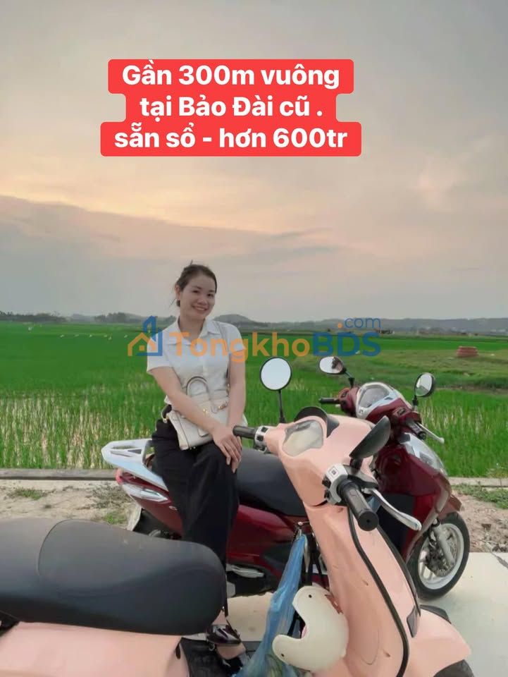 Đất Nền Lục Nam 300m² - Sổ Đỏ Chính Chủ, Giá 6xx Triệu