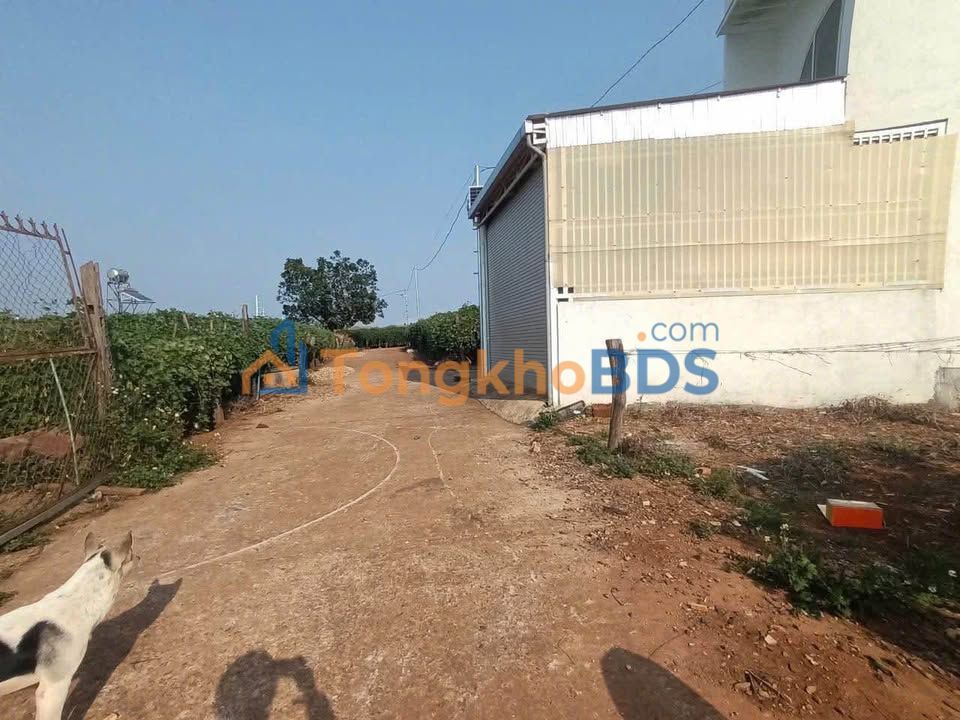 Đất nền Tổ 34, Hàm Thuận Nam 125m² - Sổ đỏ sẵn sàng, giá 1.4 tỷ