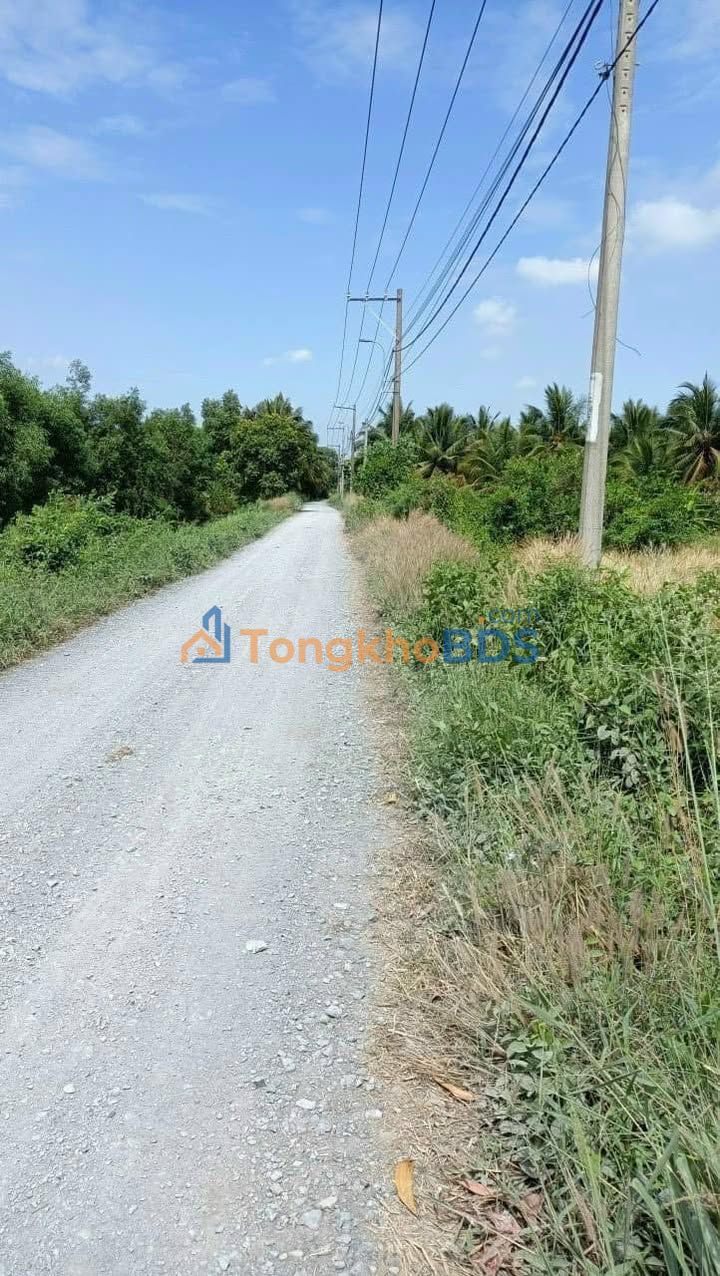 Bán Gấp Đất Vườn 20.291m² Mặt Tiền Kênh 4, Bình Chánh - Giá 32.5 Tỷ