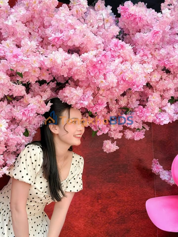 Bán Dãy Trọ Mặt Tiền KP Đông Ba, Bình Hòa - 424m² Thổ Cư, Thu Nhập 60tr/Tháng