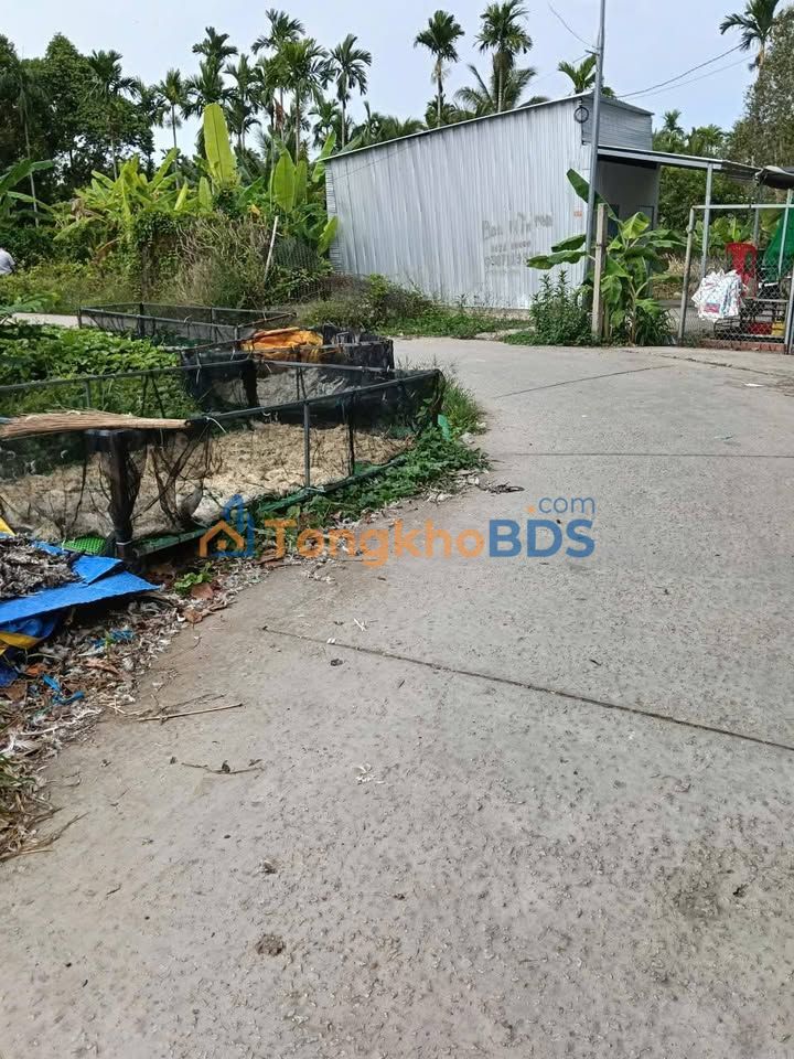 Bán Đất Nền Kế Sách Sóc Trăng - 150m² Thổ Cư, Ngay Chợ Mới