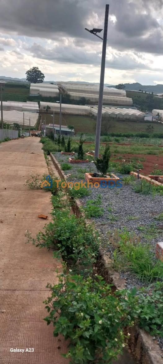 Đất Nền Nghỉ Dưỡng View Đẹp Tại Quảng Lập, Đơn Dương - 263m² Sổ Hồng Sẵn Sàng