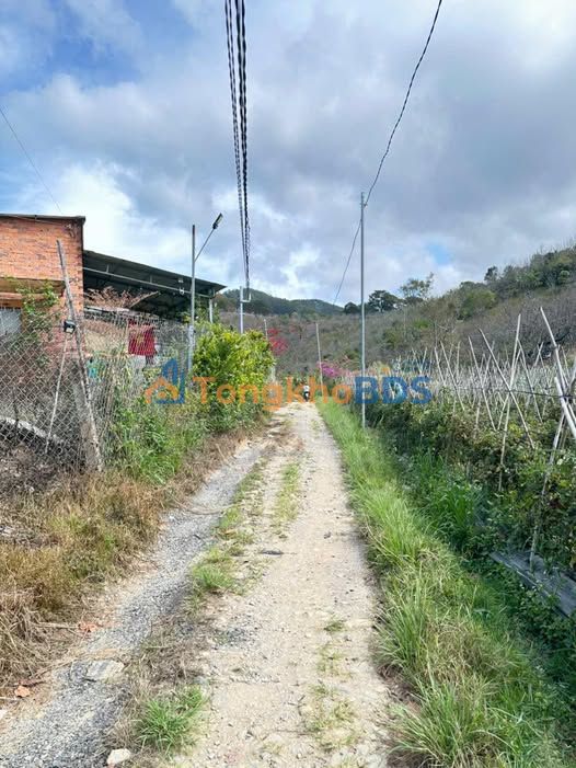 Bán Đất Nền Dran Cổ Đà Lạt 3600m² Mặt Tiền Đường 70m - Giá Đầu Tư 1.6 Tỷ