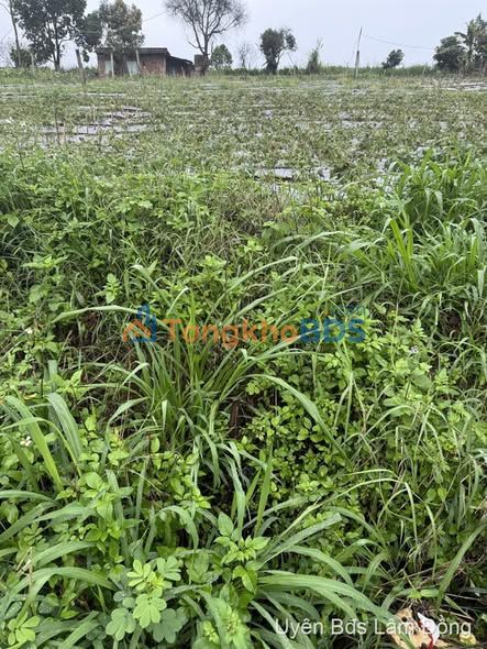 Đất Nền Ka Đô - 185.6m² Sổ Riêng Giá 660 Triệu - Đầu Tư Sinh Lời