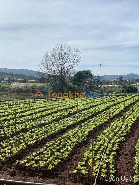 Đất nền Đơn Dương 72m² - Mặt tiền rộng, view thoáng, sổ riêng - 780 triệu