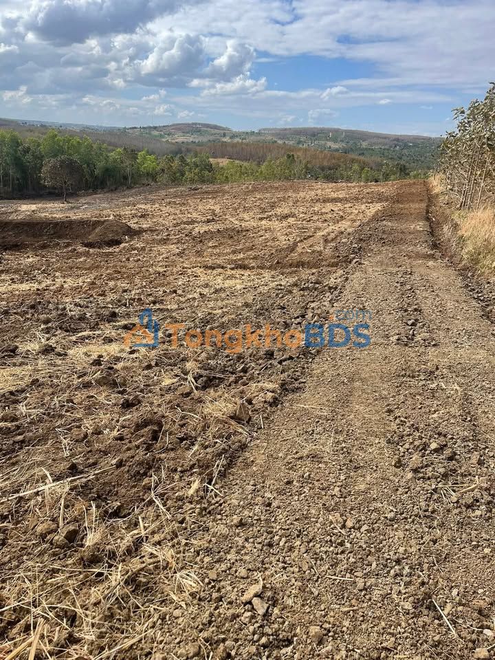 Đất Vườn Eakly, Đắk Lắk 10.000m² - Giá 1.5 Tỷ, Mặt Tiền 35m Đường Bê Tông