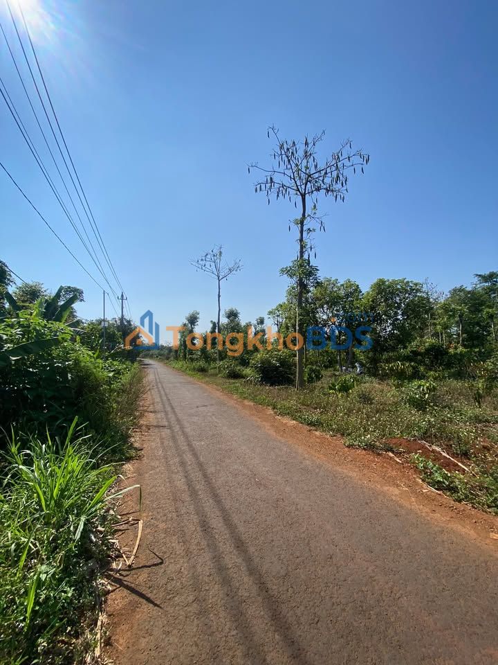 Bán Đất Sào 1693m² Xã Hòa Xuân, Buôn Ma Thuột - Giá 1.4 Tỷ