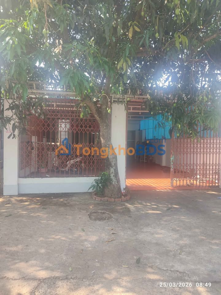 Bán Gấp Nhà Vườn Đắk Lắk 320m² - Sổ Đỏ Đồng Sở Hữu - Giá Tốt